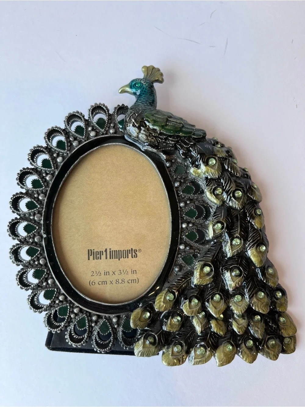 Pier 1 Imports Peacock Enameled Picture Frame